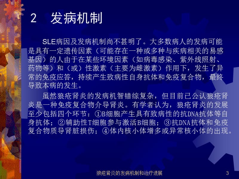 狼疮肾炎的发病机制和治疗进展PPT课件.ppt_第3页