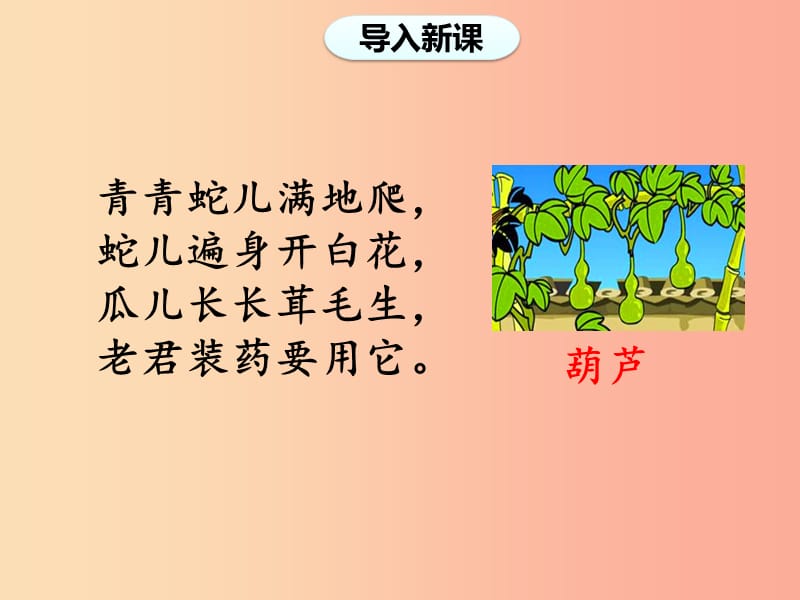 2019二年级语文上册 课文4 14《我要的是葫芦》（第一课时）课件 新人教版.ppt_第2页