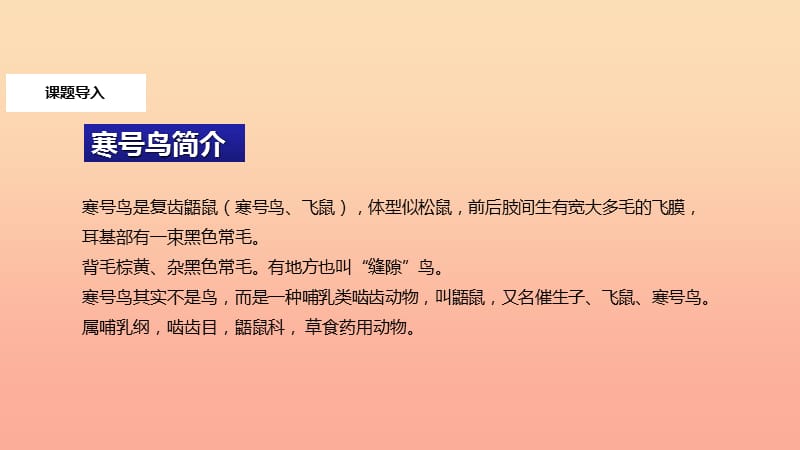 2019二年级语文上册 课文4 13《寒号鸟》教学课件 新人教版.ppt_第3页