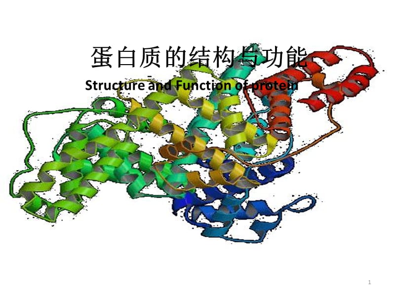 生化论文蛋白质的结构与功能ppt课件_第1页