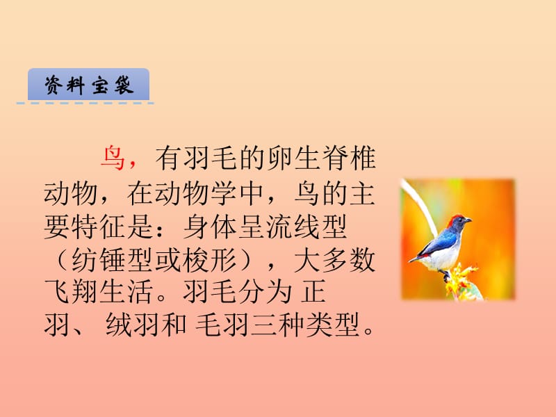 2019年秋季版二年级语文上册第2单元汉字家园一④鸟的乐园课件长春版.ppt_第3页