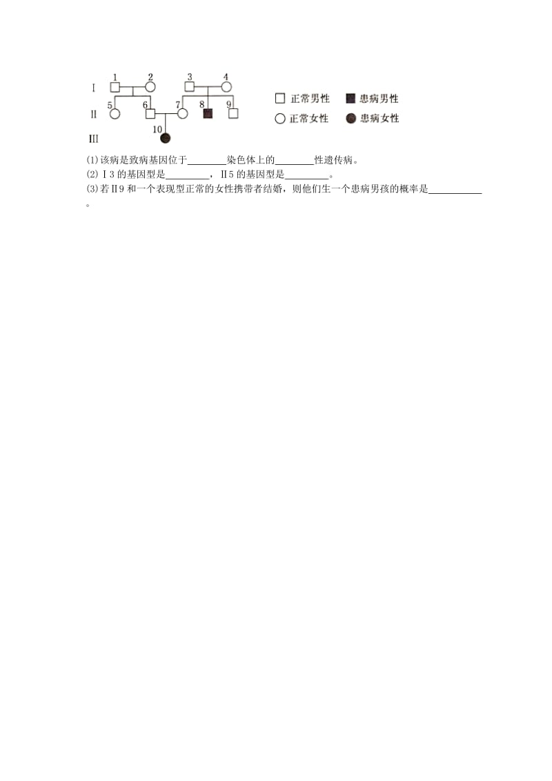 2019-2020年高中生物《第2章 基因和染色体的关系》检测题新人教版必修2.doc_第3页