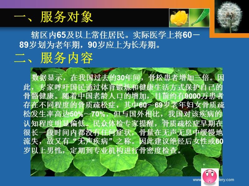 老年人健康管理规范.ppt_第2页