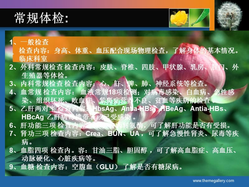 老年人健康管理规范.ppt_第3页