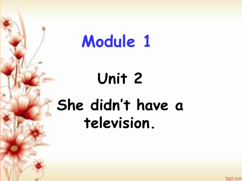 2019春五年级英语下册 Module 1 Unit 2《She didn’t have a television》课件1 （新版）外研版.ppt_第1页