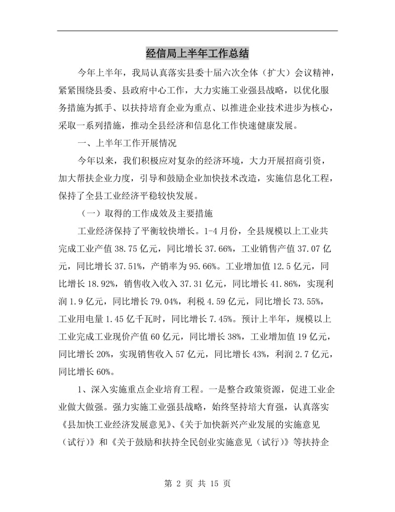 经信局上半年工作总结.doc_第2页