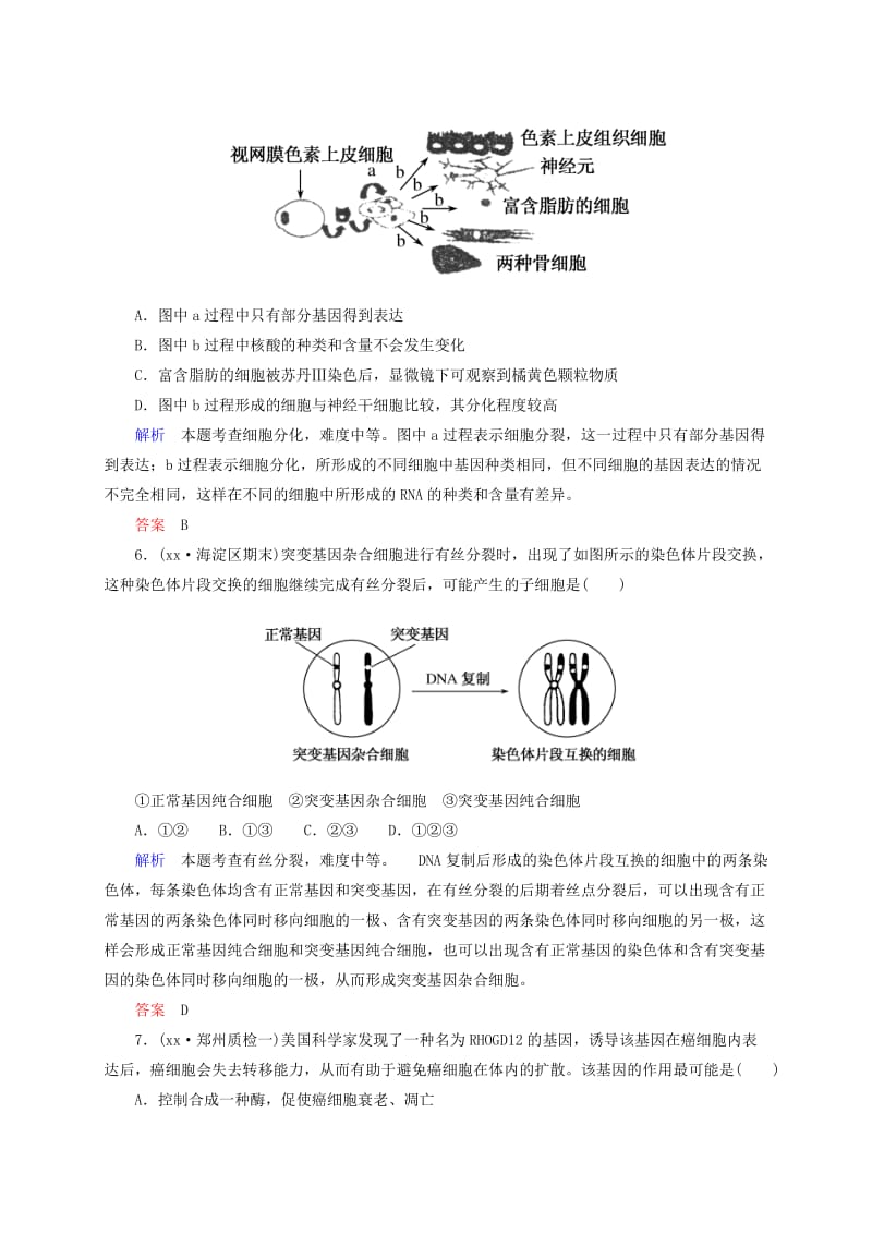 2019年高考生物二轮复习 专题演练 细胞的生命历程含减数分裂试题.doc_第3页