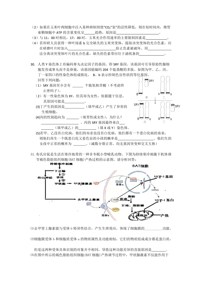 2019-2020年高三冲刺理综生物试题 含答案.doc_第3页