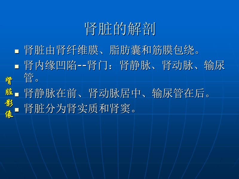 肾脏占位的影像诊断ppt课件.ppt_第2页