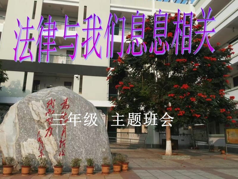 法律与我们息息相关主题班会ppt课件.ppt_第1页