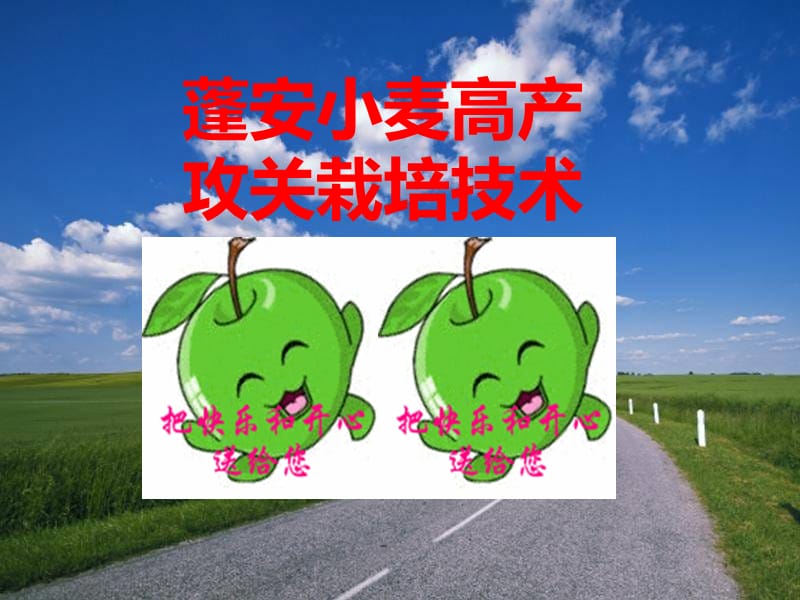 小麦高产攻关栽培技术.ppt_第1页