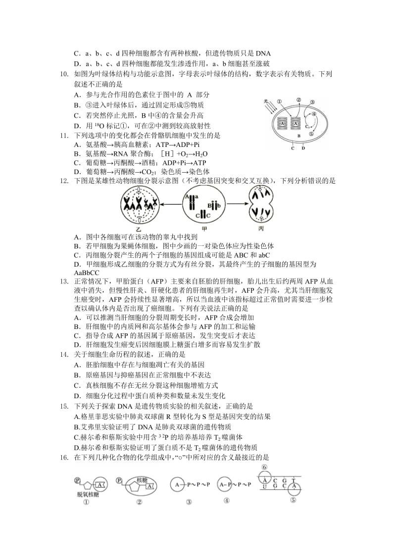 2019-2020年高三上学期期中统一考试生物试题 含答案.doc_第2页