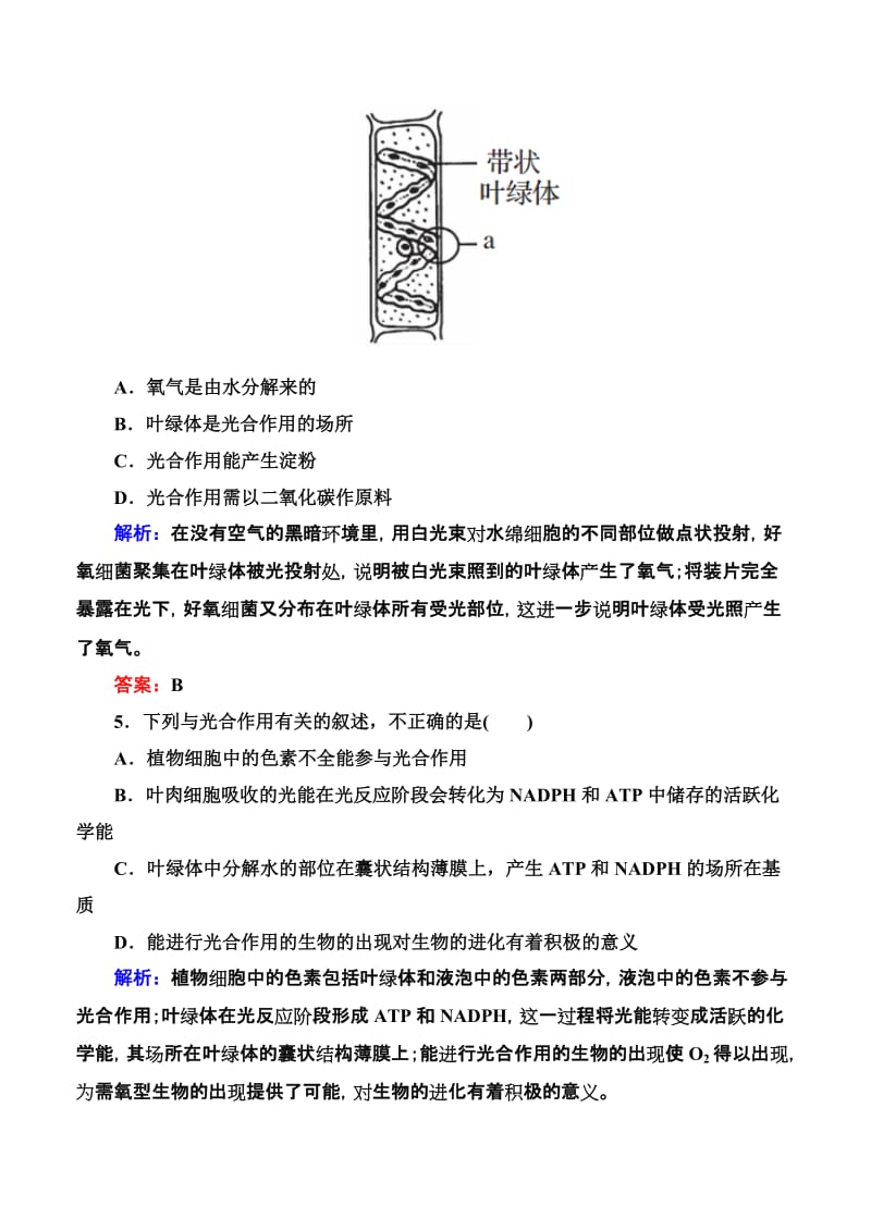 2019-2020年高考生物限时规范特训：第11讲 能量之源-光与光合作用.doc_第3页