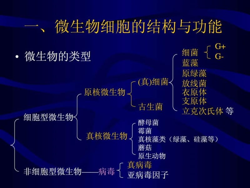 生物奥赛培训教程-微生物学部分.ppt_第2页