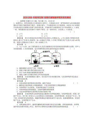 2019-2020年高考生物 動(dòng)物代謝細(xì)胞呼吸階段性測(cè)試.doc