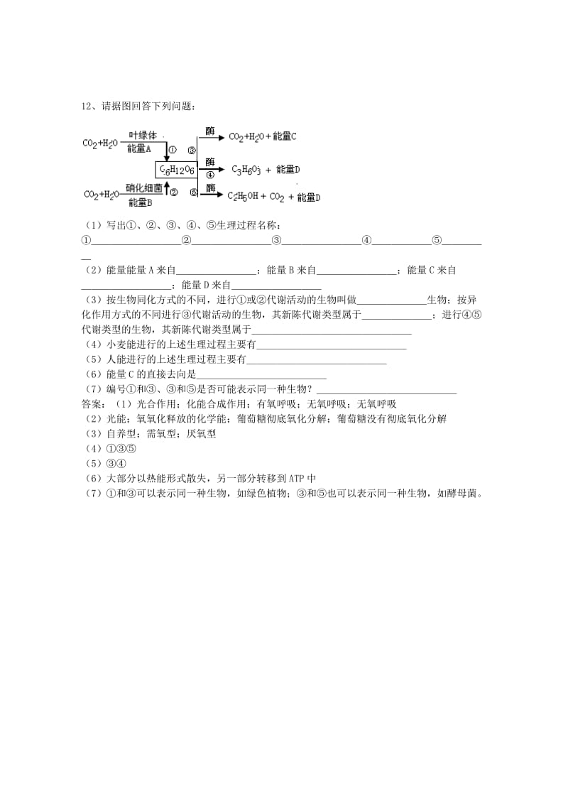 2019-2020年高中生物 第三章训练8 人教版第一册.doc_第3页