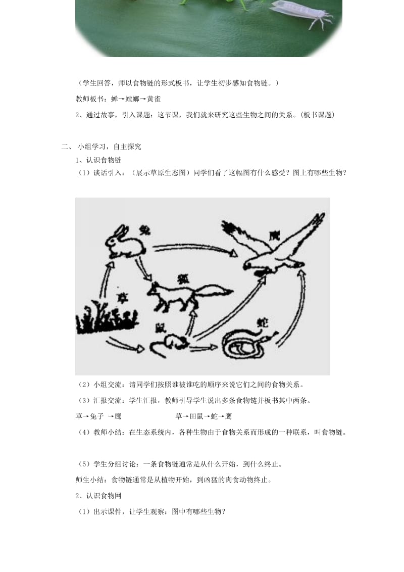 六年级科学上册 密切联系的生物界评优课教案 青岛版.doc_第2页