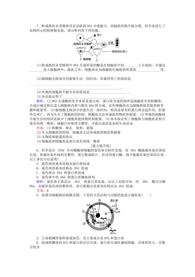 2019年高中生物 第三章 细胞的基本结构 3.3 细胞核——系统的控制中心分层落实训练 新人教版必修1.doc_第2页