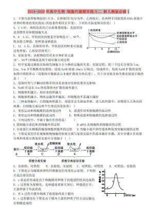 2019-2020年高中生物 細(xì)胞代謝期末練習(xí)二 新人教版必修1.doc