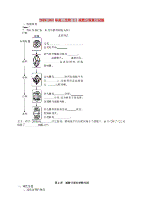 2019-2020年高三生物 2.1減數(shù)分裂復習試題.doc