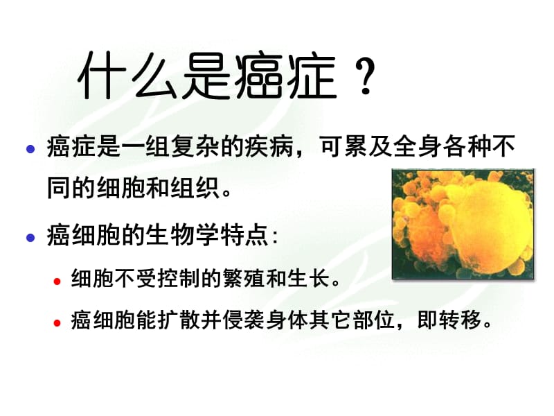 抗恶性肿瘤药物的临床应用2课件.ppt_第2页