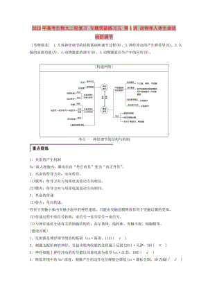 2019年高考生物大二輪復(fù)習(xí) 專題突破練習(xí)五 第1講 動(dòng)物和人體生命活動(dòng)的調(diào)節(jié).doc