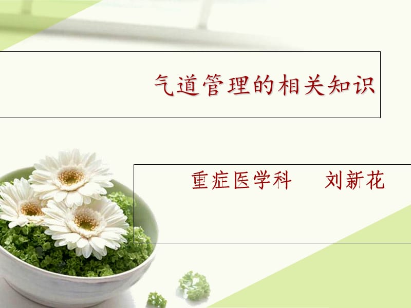 急救能力培训-气道管理.ppt_第1页