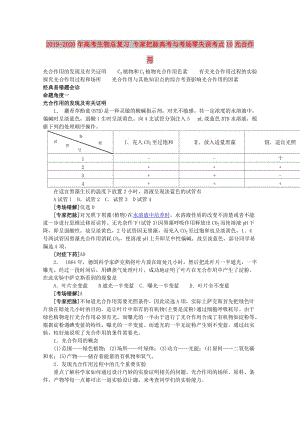 2019-2020年高考生物總復(fù)習(xí) 專家把脈高考與考場(chǎng)零失誤考點(diǎn)10光合作用.doc