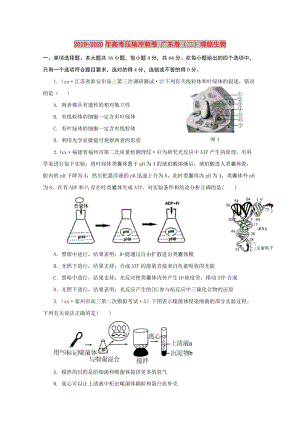 2019-2020年高考壓軸沖刺卷 廣東卷（二）理綜生物.doc