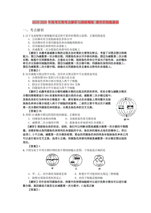 2019-2020年高考生物考點(diǎn)解析與跟蹤精練 遺傳的細(xì)胞基礎(chǔ).doc