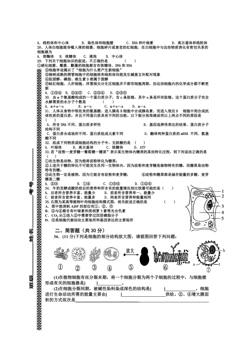 2019-2020年高三9月月考生物试题.doc_第3页