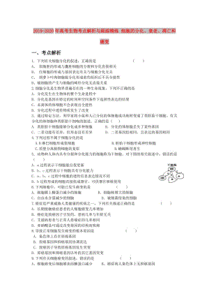 2019-2020年高考生物考點解析與跟蹤精練 細(xì)胞的分化、衰老、凋亡和癌變.doc