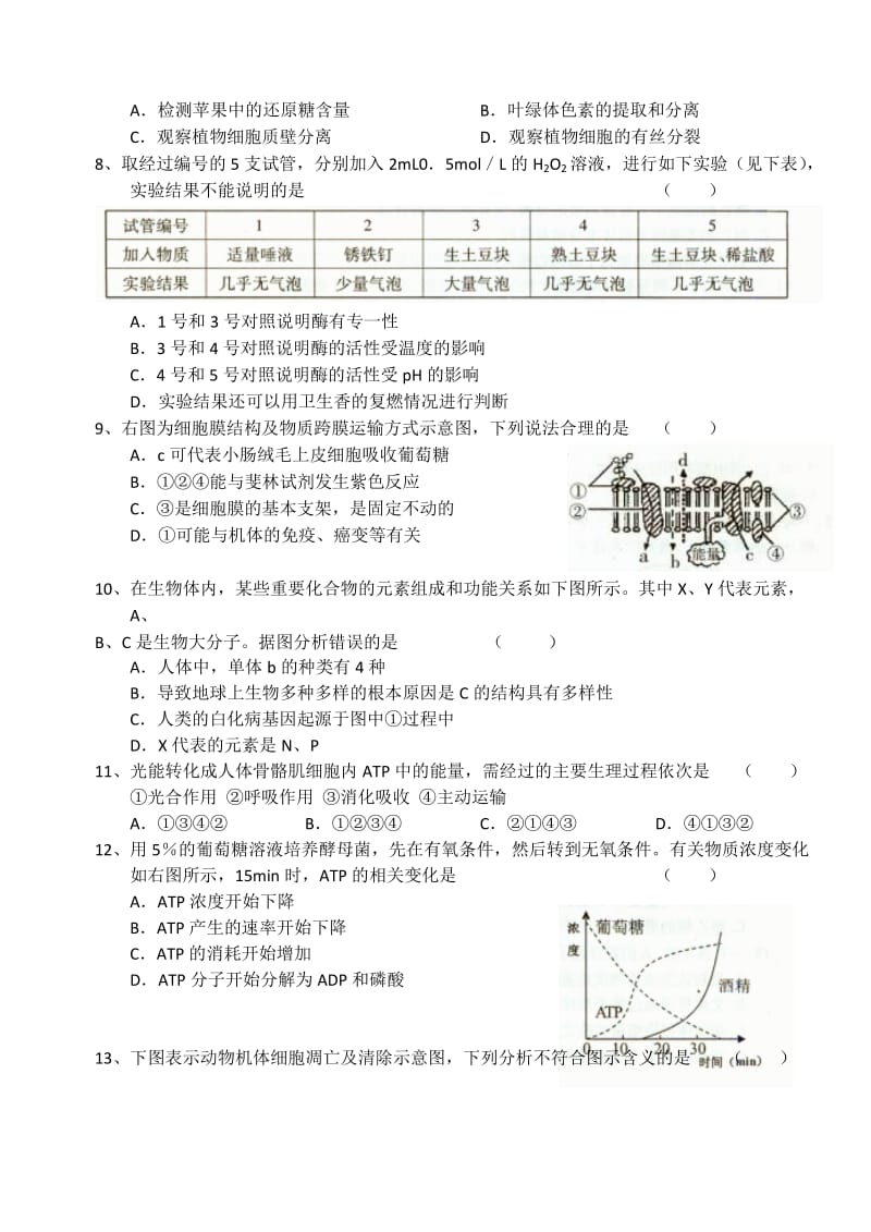 2019-2020年高三10月月考生物试题.doc_第2页