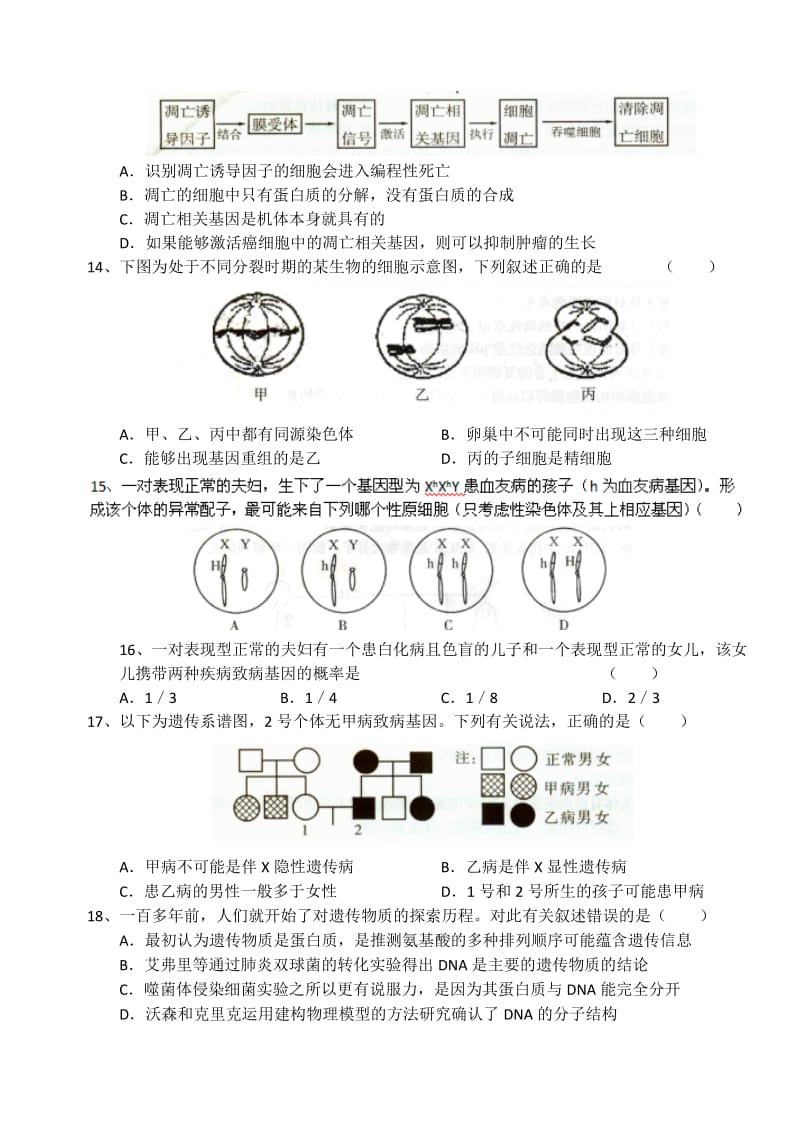 2019-2020年高三10月月考生物试题.doc_第3页