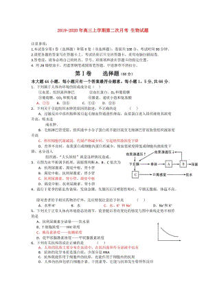 2019-2020年高三上學(xué)期第二次月考 生物試題.doc