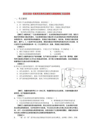 2019-2020年高考生物考點(diǎn)解析與跟蹤精練 生態(tài)系統(tǒng).doc