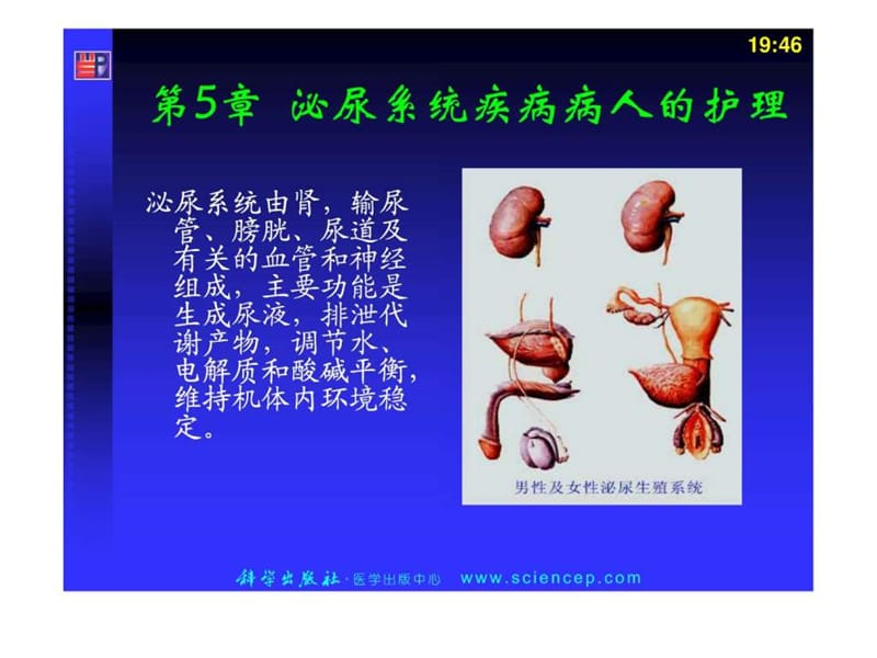 泌尿《内科护理学》.ppt_第2页