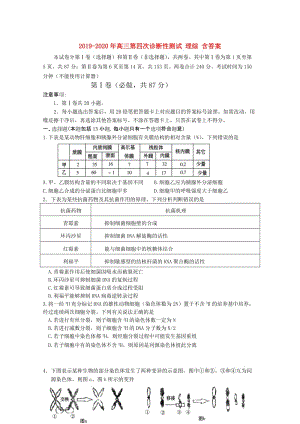 2019-2020年高三第四次診斷性測試 理綜 含答案.doc