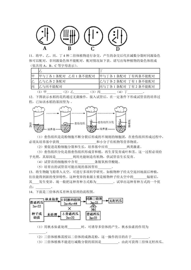 2019-2020年高中生物 染色体数目变异对性状的影响同步测试 中图版必修2.doc_第2页