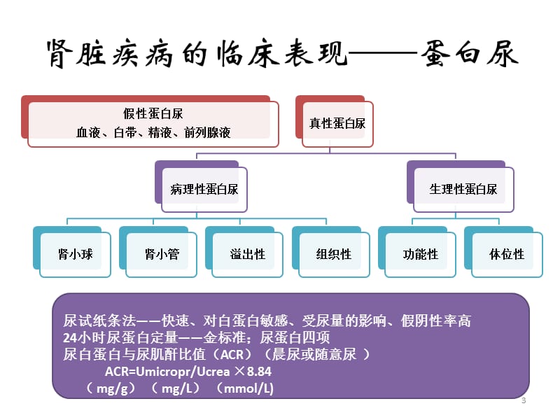 肾脏疾病的诊断思路ppt课件_第3页