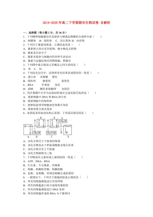 2019-2020年高二下學(xué)期期末生物試卷 含解析.doc