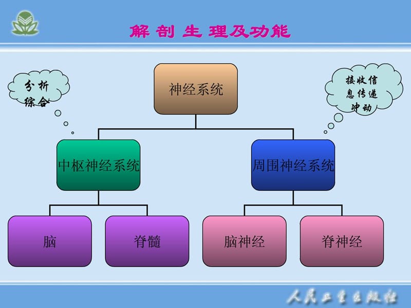 神经内科护理学概述.ppt_第3页