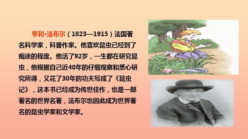 2019学年二年级语文下册 课文4 17 装昆虫的口袋课件 西师大版.ppt_第3页