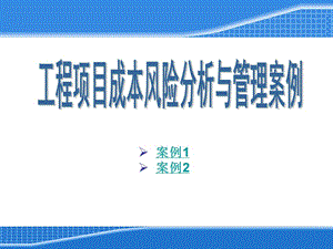 工程項目風險分析與管理案例（論文資料）.ppt