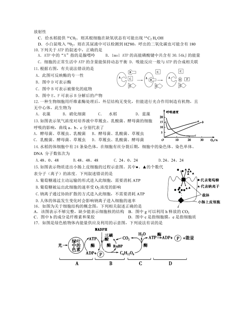 2019-2020年高一上学期课改版期末试题 生物 含答案.doc_第2页