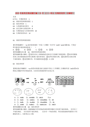 2019年高考生物試題匯編（10月 上）G單元 生物的變異（含解析）.doc