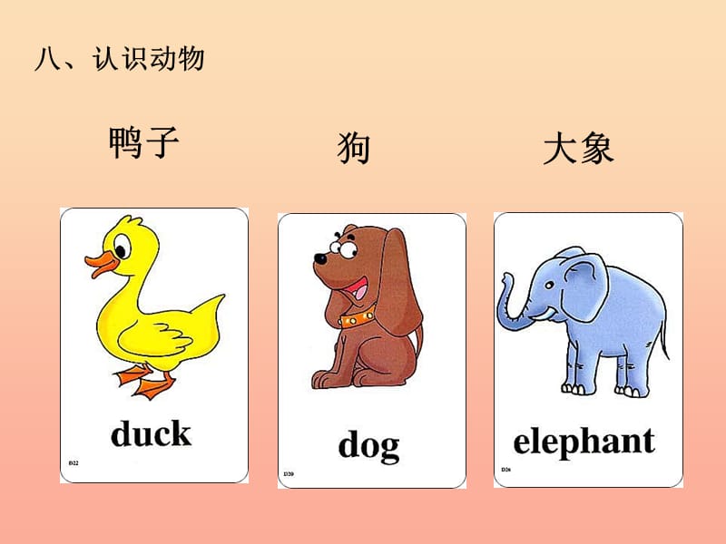 2019一年级科学上册 第8课 认识动物课件 冀教版.ppt_第2页