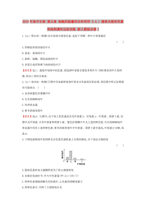 2019年高中生物 第五章 細(xì)胞的能量供應(yīng)和利用 5.4.1 捕獲光能的色素和結(jié)構(gòu)課時(shí)達(dá)標(biāo)訓(xùn)練 新人教版必修1.doc