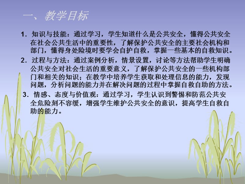 框社会公共生活的安全保障.ppt_第2页