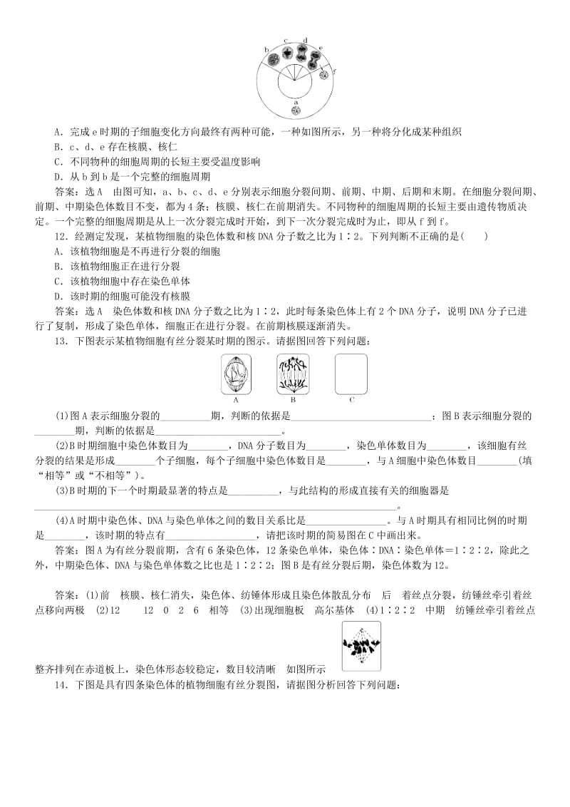 2019年高中生物 第六章 细胞的生命历程 6.1.1 细胞周期和有丝分裂过程有解析课时同步练习 新人教版必修1.doc_第3页